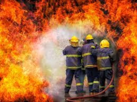 Hình ảnh hoạt động 6