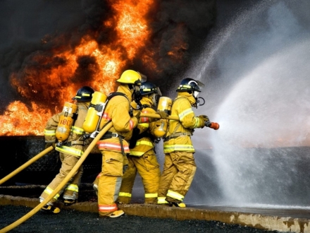 Hình ảnh hoạt động 2