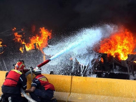 Hình ảnh hoạt động 4