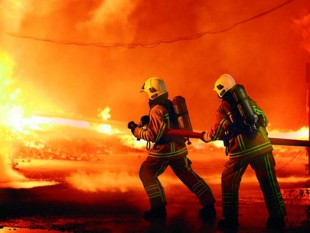 Hình ảnh hoạt động 5